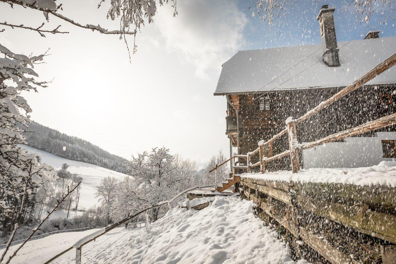Villa Urlaub Auf Der Alm "Deluxe" à Preggraben Extérieur photo