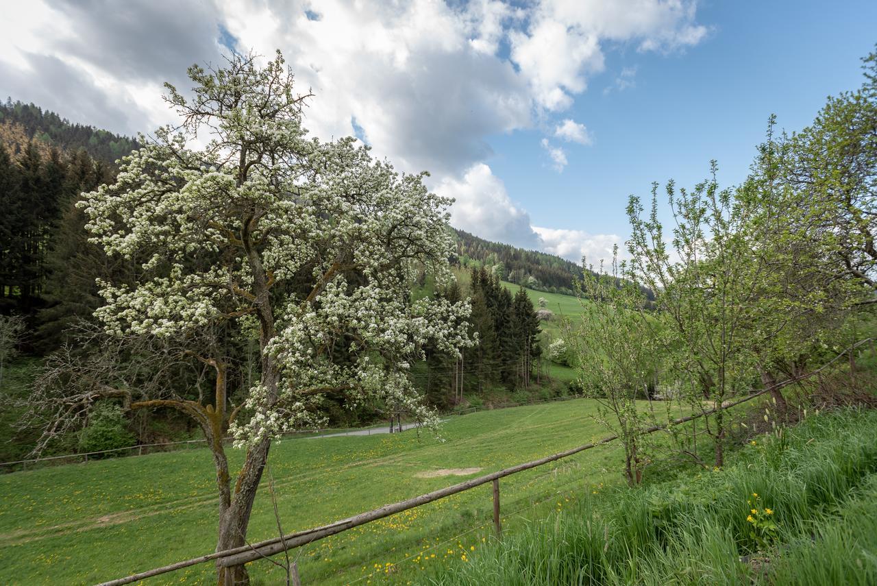 Villa Urlaub Auf Der Alm "Deluxe" à Preggraben Extérieur photo