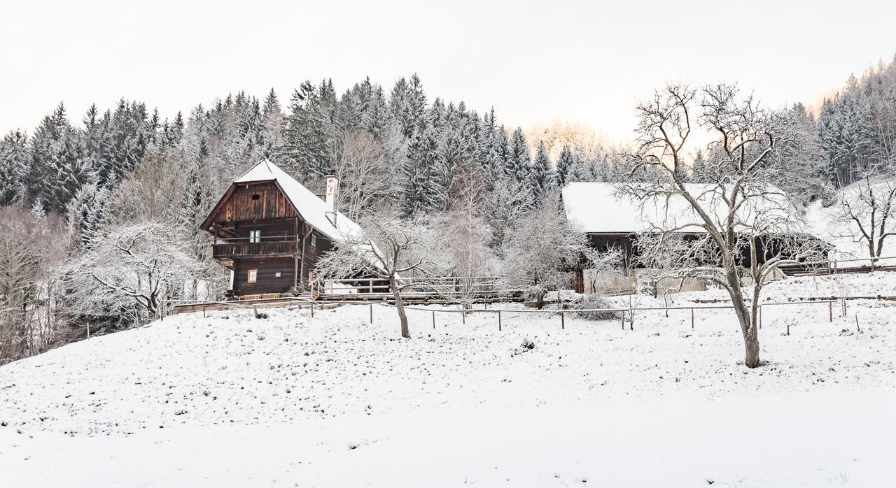 Villa Urlaub Auf Der Alm "Deluxe" à Preggraben Extérieur photo